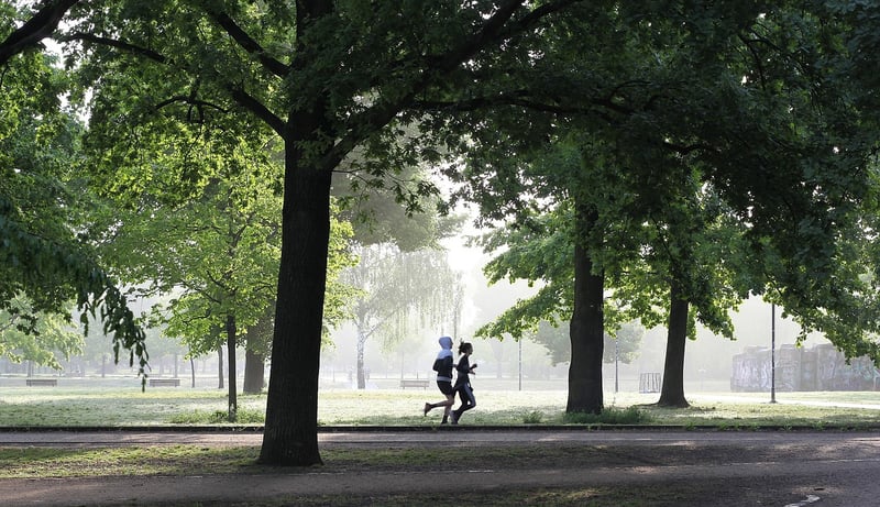 Runner
